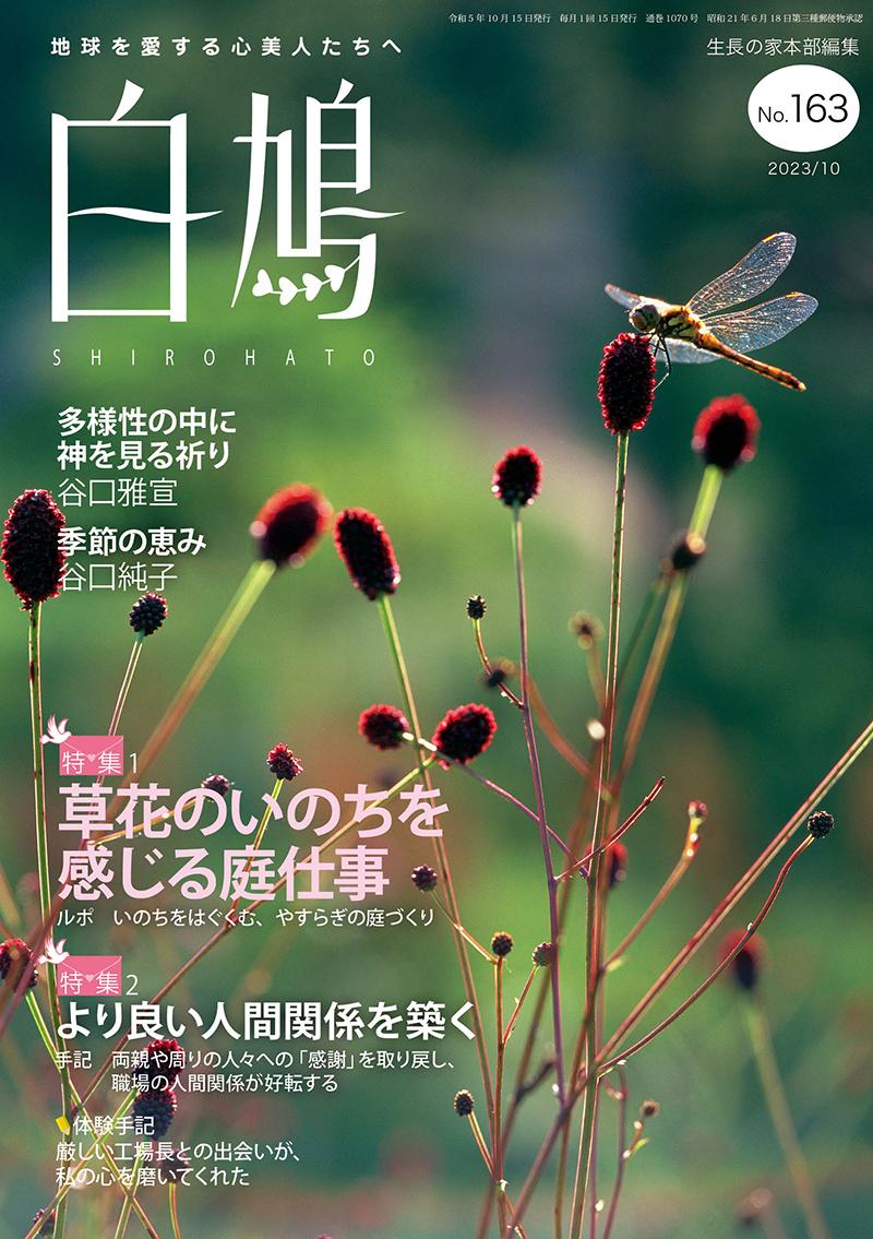 白鳩　No.163（10月号）