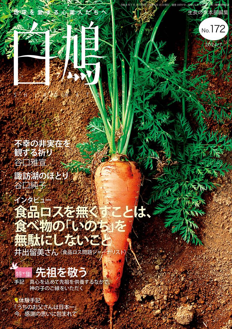 白鳩　No.172（7月号）