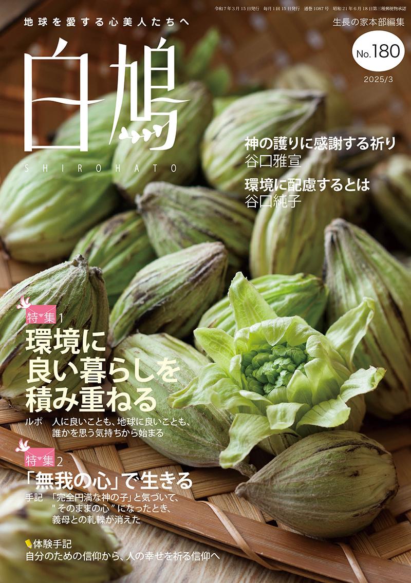 白鳩　No.180（3月号）
