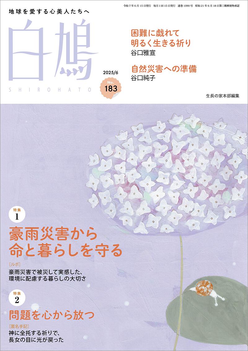 白鳩　No.183（6月号）