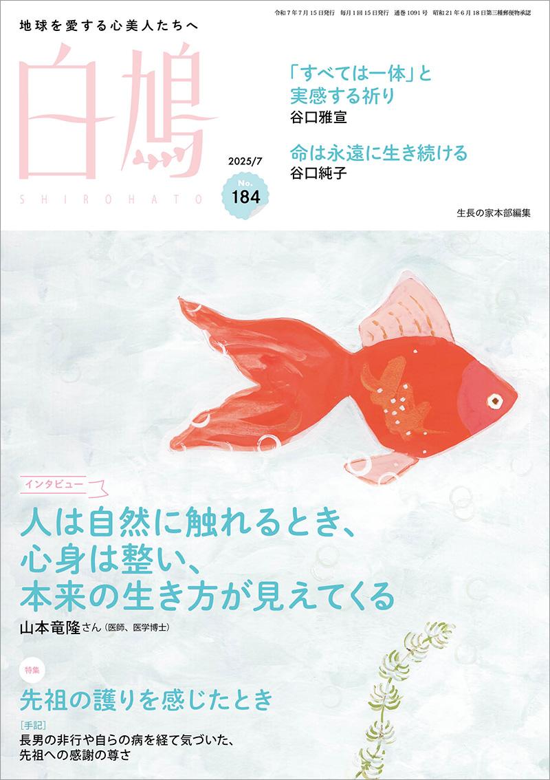 白鳩　No.184（7月号）