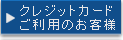 �N���W�b�g�J�[�h�����p�̂��q�l
